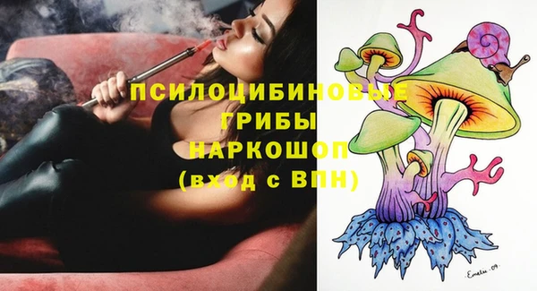 молекула духа Волоколамск