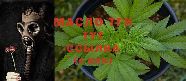 молекула духа Волоколамск