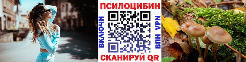 Галлюциногенные грибы мицелий  купить   Дагестанские Огни 